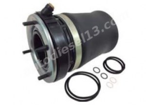 E53 BMW X5  front left air suspension