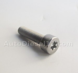 Bosch Pressure valve screw