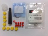 Kit EPIC III pump RENAULT FIAT