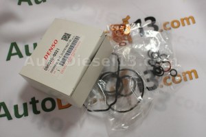 DENSO pump repair kit