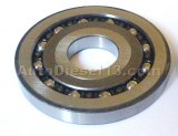 ALTERNATOR BEARING 