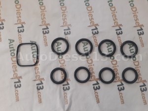 Oring PSA intake manifold 