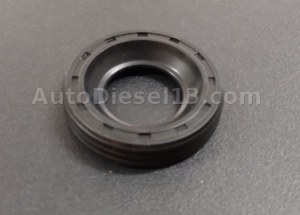 PSA 1.6 Hdi injector ring