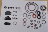 STANADYNE DB2 pump repair kit