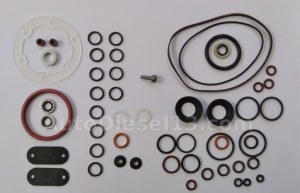 STANADYNE DB pump repair kit