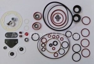 STANADYNE pump repair kit