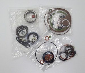 STANADYNE DB4 pump repair kit