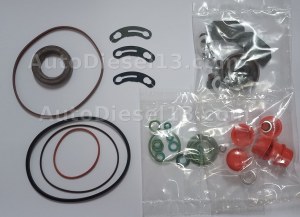 STANADYNE DM pump repair kit