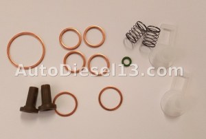 Feed pump repair kit
