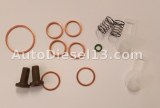 Feed pump repair kit