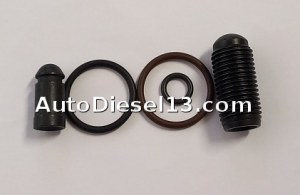 SIEMENS O-Ring injector