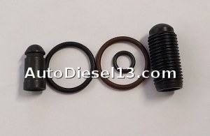 SIEMENS O-Ring injector