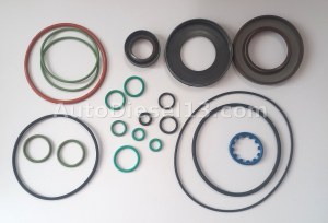 Bosch CPN5 pump repair kit