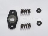 VE BOSCH SPRING KIT 