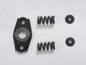 VE BOSCH SPRING KIT 