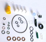 CR DELPHI pump repair kit