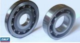 DPC INJECTION PUMP BEARING 