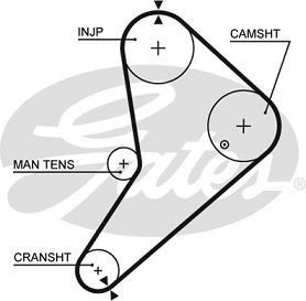 Timing belt GATES 5021  FORD TRANSIT