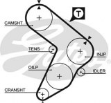 Timing belt GATES 5032 FIAT SEAT