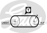 Timing belt GATES 5034 AUDI VOLVO VW LT 