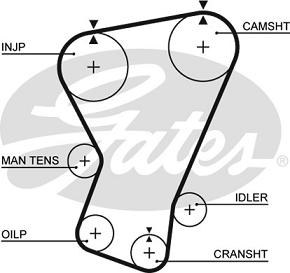 Timing belt GATES 5065 FIAT