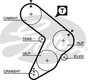 Timing belt GATES 5087 FIAT 