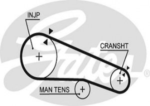 Timing belt GATES 5104 NISSAN 