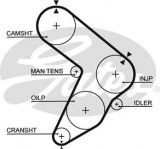 Timing belt GATES 5112 FIAT