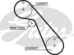 Timing belt GATES 5209 FIAT LANCIA