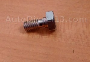 Hollow screw diam 6 thread 1.0