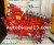 Diesel injection pump assembly IVECO