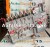 Diesel injection pump assembly IVECO