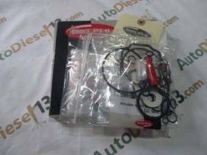 DP200 PUMP KIT