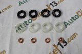 PSA FORD 1.6 Hdi mounting injector kit