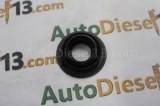 FORD injector ring