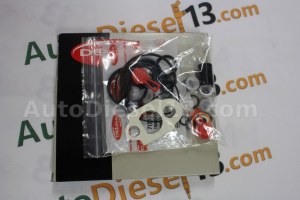 DPS Gasket kit pump