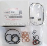 DENSO pump repair kit