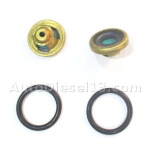 Non return gasoil valve