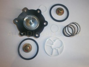 Supply pump gasket kit