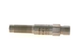 INJECTEUR 0281006099
