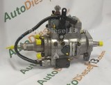 POMPE INJECTION DB4429-6519