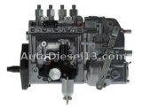 ENSEMBLE POMPE INJECTION