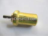 Thermostat pompe injection BOSCH RENAULT VW 